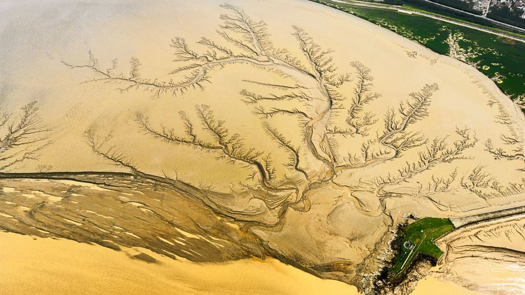Aerial view of cracked marshland and a thin water channel at the Guadalquivir delta, Doñana, at sunrise.